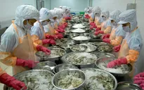 Xuất khẩu tôm có thể đạt trên 3 tỷ USD