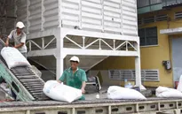 Tháng 1, xuất khẩu gạo tăng mạnh cả về lượng và giá trị