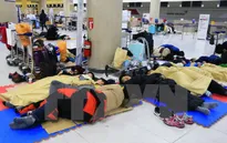 Hàn Quốc: Bão tuyết khiến 86.000 người bị mắc kẹt trên đảo Jeju