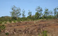 Gia Lai: Vật vã với hạn hán, người dân vẫn chưa nhận được hỗ trợ