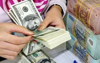Tỷ giá trung tâm tăng cao nhất từ đầu năm đến nay