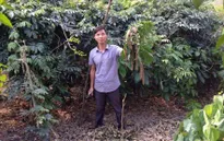 Chàng trai khởi nghiệp từ cây dược liệu ở vùng cao Thái Nguyên