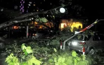 TP.HCM: Mưa lớn gây ngập đường, cây xanh ngã đổ đè phương tiện