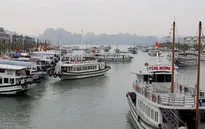 Hàng nghìn lượt du khách "xông đất" Đà Nẵng và Vịnh Hạ Long