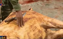 Xót xa cảnh thương lái ép giá trâu, bò chết rét của người dân