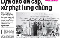 Xử phạt đa cấp: Giơ chưa cao và đánh cũng chưa đau?