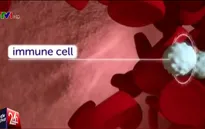 Phát hiện cách thức mới loại bỏ khối u gây ung thư