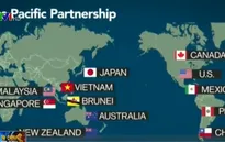 Nội các Nhật Bản thông qua các dự luật về TPP