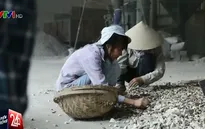 Ước mơ đi học của cô bé có bố bị tai nạn và bại não