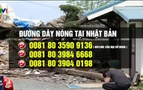 Động đất ở Nhật Bản: Mở 3 đường dây nóng nhận thông tin về người Việt