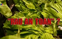 Loạn rau sạch, người tiêu dùng phải làm sao?