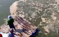 Cá tra, dệt may và da giày đồng loạt "báo" tin vui
