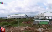 Bộ TNMT chỉ đạo thanh tra nhà máy giấy Lee&Man