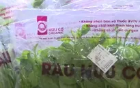 Thực phẩm hữu cơ chưa được chứng nhận ở Việt Nam