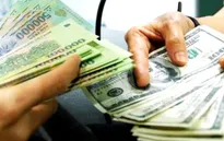 Các ngân hàng thương mại giảm giá mạnh đồng USD