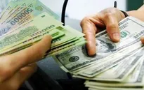 Áp lực tăng tỷ giá cuối năm không quá mạnh