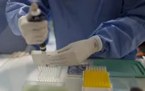 Brazil và Mỹ hợp tác nghiên cứu vaccine phòng virus Zika