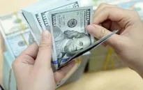 Nới lỏng cho vay ngoại tệ: Hợp lý nhưng cần thận trọng