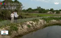 Phát huy hiệu quả kinh tế vùng đất cát tỉnh Thừa Thiên Huế