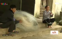 Hoàn cảnh đáng thương của cặp vợ chồng nghèo bãi ngang ven biển