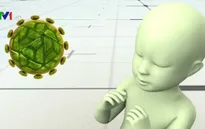 Virus Zika lan nhanh tại nhiều nước