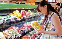 Trên 50% người dân Việt Nam sẽ gia nhập tầng lớp trung lưu toàn cầu