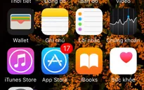 Apple chính thức hỗ trợ mạng 4G của Viettel