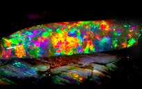Chiêm ngưỡng viên đá opal đẹp nhất hành tinh