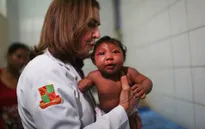 WHO ban bố tình trạng khẩn cấp toàn cầu về virus Zika
