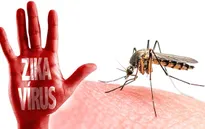 Mỹ cảnh báo hạn chế đi lại do virus Zika