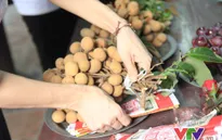 Người Hà Nội đội mưa đi chùa cầu bình an dịp lễ Vu Lan