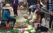 Rau xanh tăng giá mạnh không phải vì thiếu nguồn cung