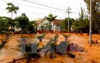 Bình Thuận tạm đình chỉ công ty khai thác Titan gây ra sự cố