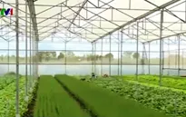 Khó khăn về vốn triển khai nông nghiệp công nghệ cao