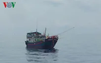 10 tàu cá Bình Thuận bị bắt giữ tại Indonesia và Malaysia