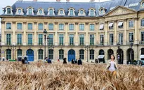 Cánh đồng lúa mì giữa thủ đô Paris hoa lệ