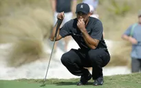 Giải Golf Hero World Challenge: Tiger Woods lấy lại phong độ ở vòng 2