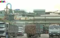 Xe chở quá khổ quá tải hoành hành tại Tây Nguyên