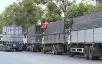 Hàng trăm xe tải ùn ứ đợi hàng trước nhà máy thép