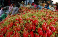 Cơ hội cho xuất khẩu rau quả năm 2016