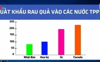 Doanh nghiệp xuất khẩu trái cây mạnh tay đầu tư khi gia nhập TPP