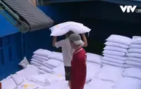 Thái Lan bán lượng gạo lớn kỷ lục, gạo Việt Nam trước nguy cơ hạ giá