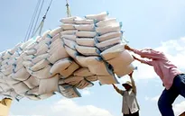 Bộ Công Thương mở cửa cho doanh nghiệp xuất khẩu gạo