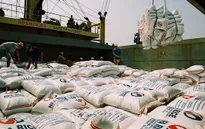 Xuất khẩu gạo tăng khoảng 46% tháng 1/2016