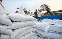 Việt Nam được phép xuất khẩu gạo chính ngạch sang Trung Quốc