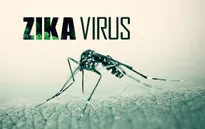 Mỹ tuyên bố tình trạng khẩn cấp ở Puerto Rico vì Zika