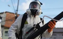 Thái Lan, Đức, Australia xác nhận trường hợp nhiễm virus Zika