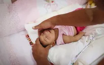 Chính phủ Brazil thừa nhận bất lực trong việc đối phó virus Zika