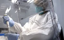 Đức phát triển thành công phương pháp xét nghiệm nhanh virus Zika