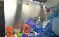 Một phụ nữ Hàn Quốc trở về từ Việt Nam bị nhiễm virus Zika